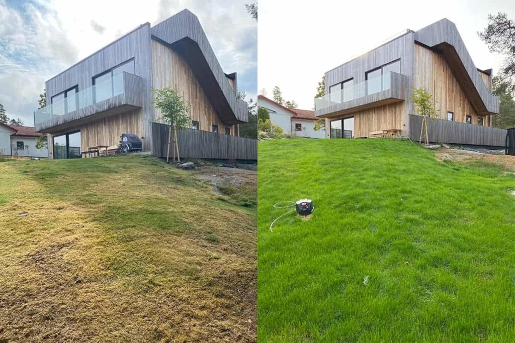 Bild före och efter renoveirng av gräsmatta