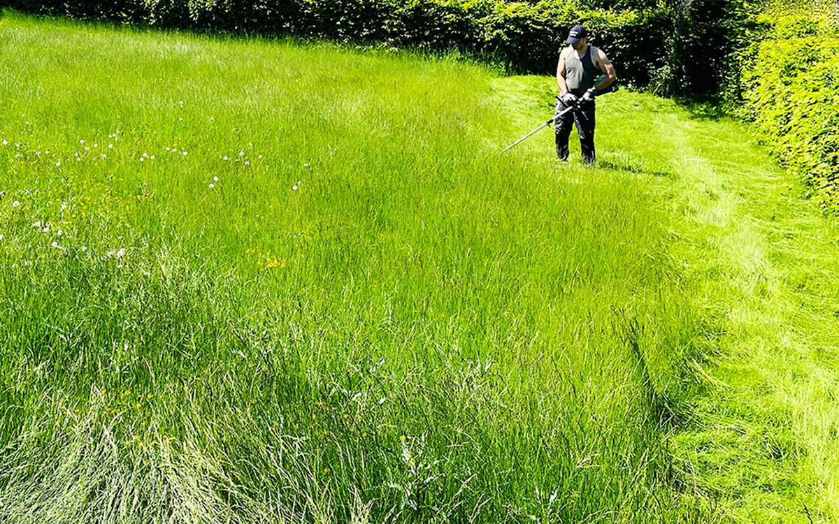 Varför låta gräsklippet ligga kvar i gräsmattan gäller bara om den klipps ofta.