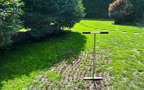 Reparera gräsmatta: Eliminera torra och kala fläckar med oss