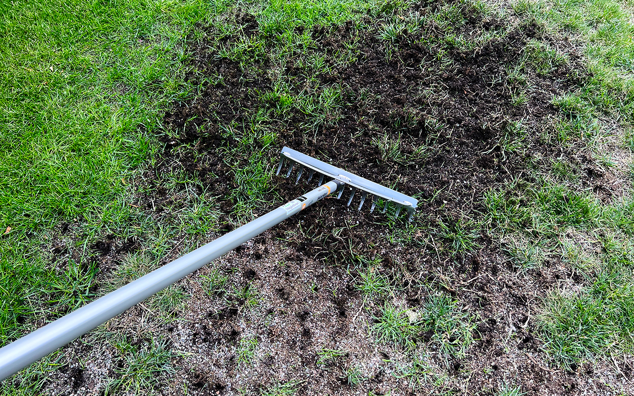 Rugga upp markytan med en kratta när du reparerar gräsmattan på torra och kala fläckar.