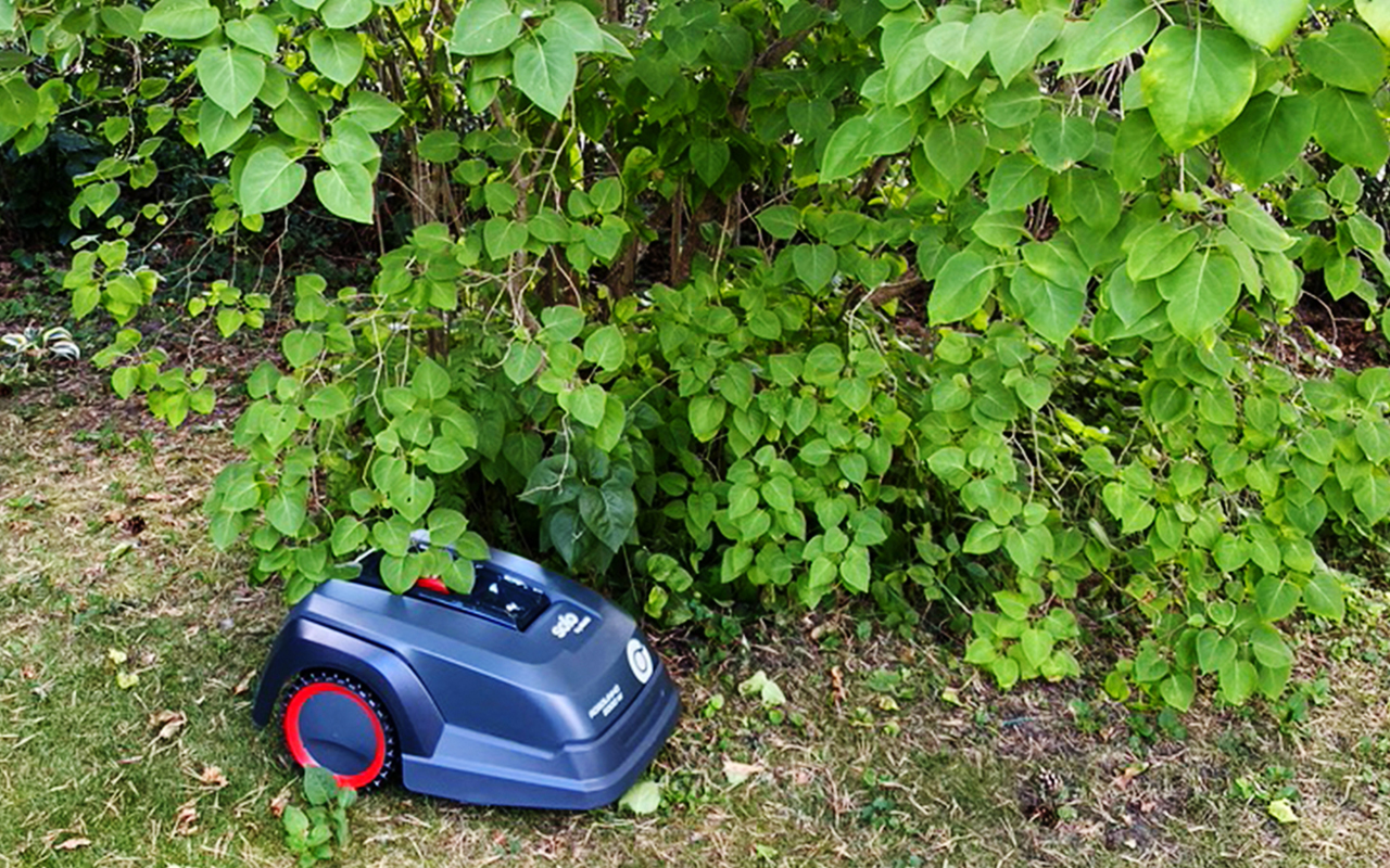 Att klippa gräsmattan för bästa resultat med en robotgräsklippare