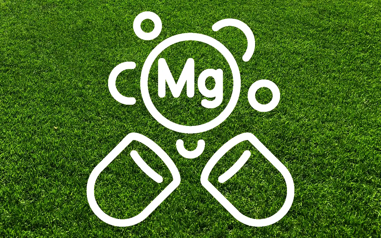 Magnesium för gräsmattan