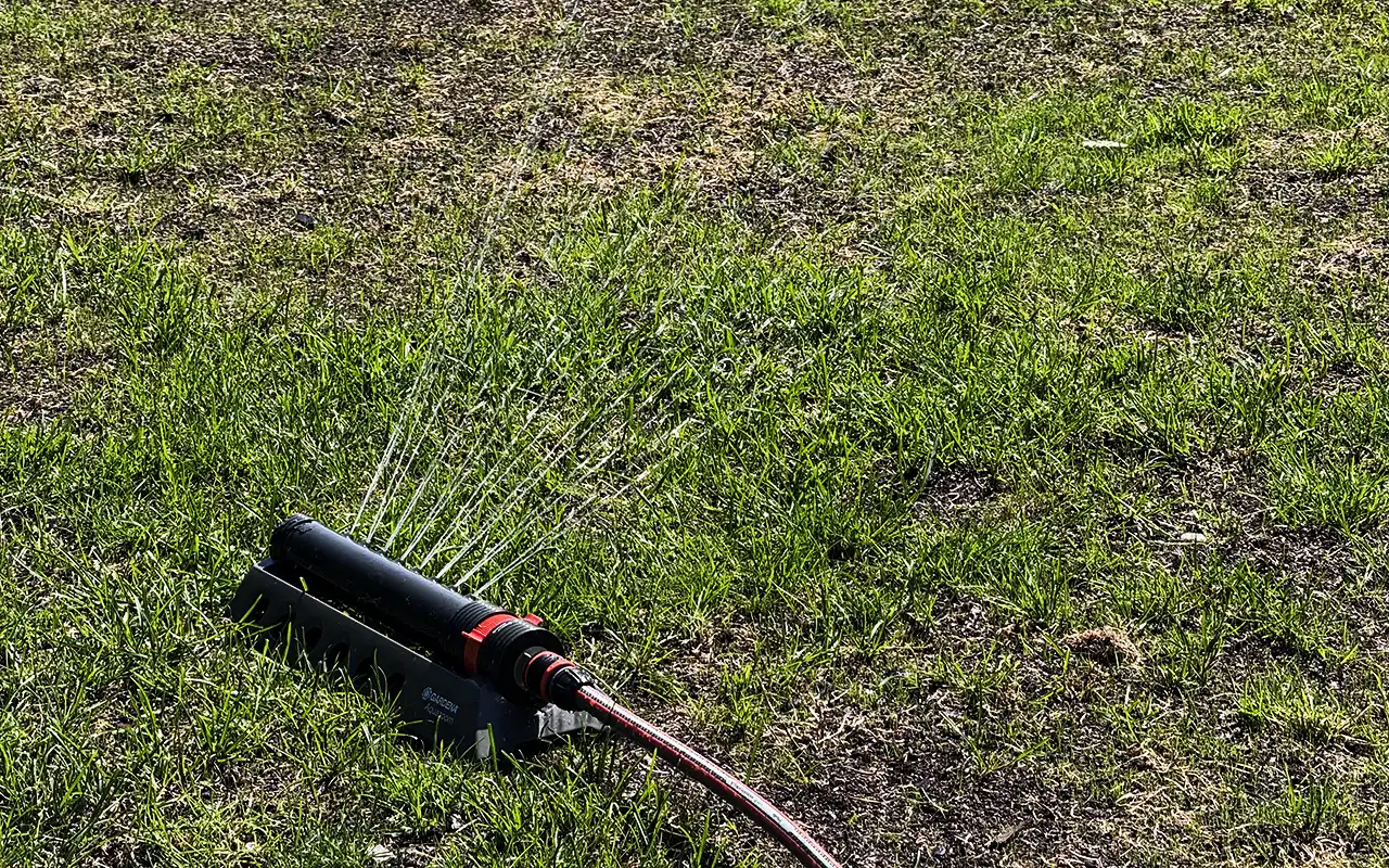 Bevattna gräsmattan under sommartorkan