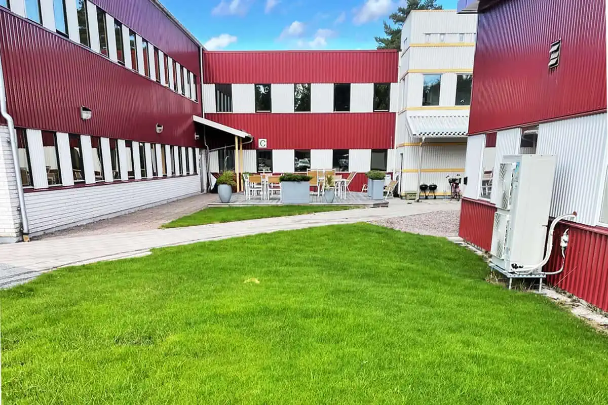 Efter renovering av gräsmatta