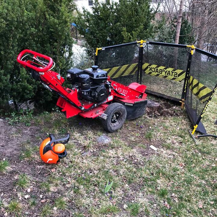 Hyra stubbfräs för att ta bort stubbarna själv