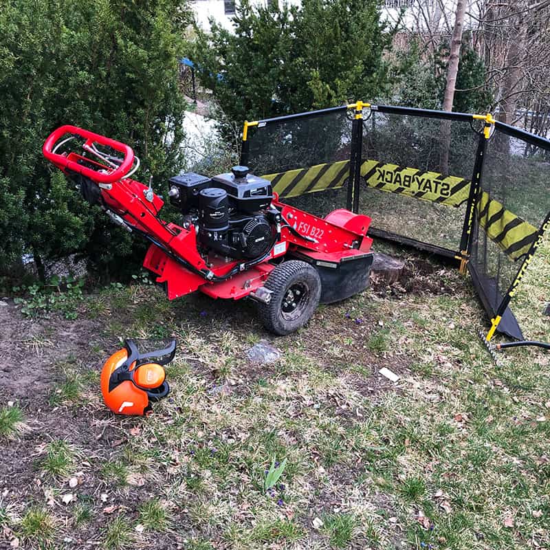 Hyra stubbfräs för att ta bort stubbarna själv