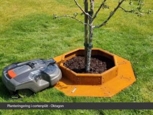 Planteringsring Cortenplat Oktagon Miljö