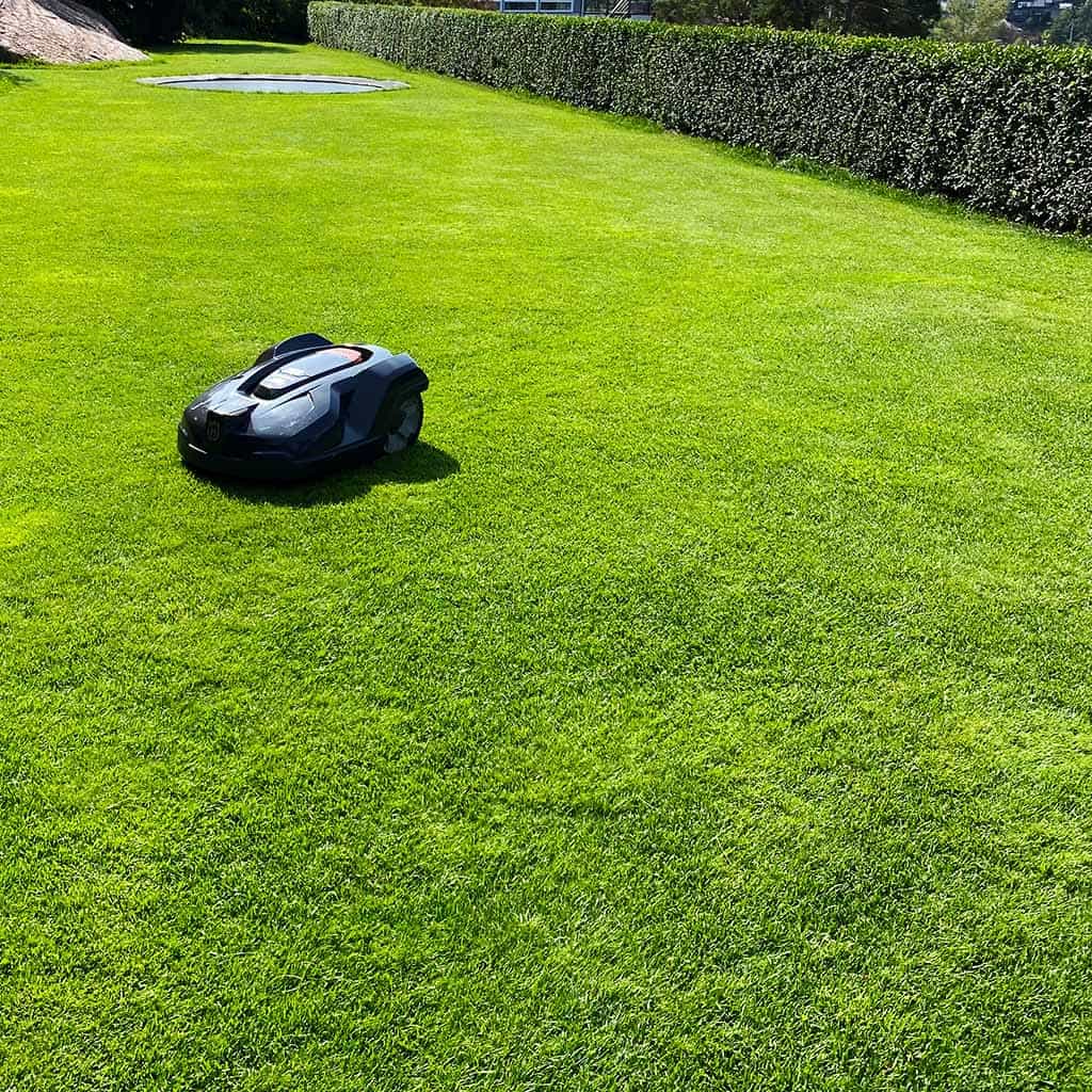 Robotgräsklippare på en fin gräsmatta