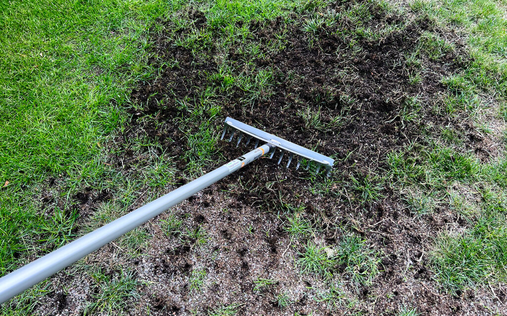 Reparera gräsmatta: Eliminera torra och kala fläckar med oss