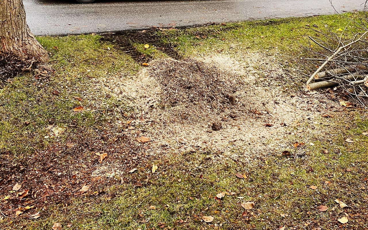 Efter stubbfräsning