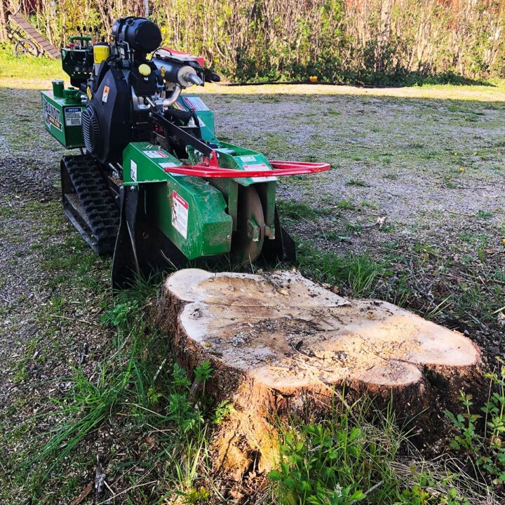 Här berättar vi hur en stubbfräs fungerar.