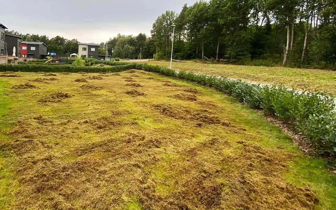 Gräsmatta under en gräsmatterenovering