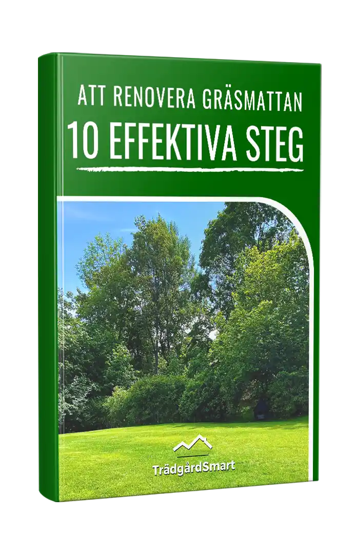 e-Bok: Att renovera en gräsmatta på datorn