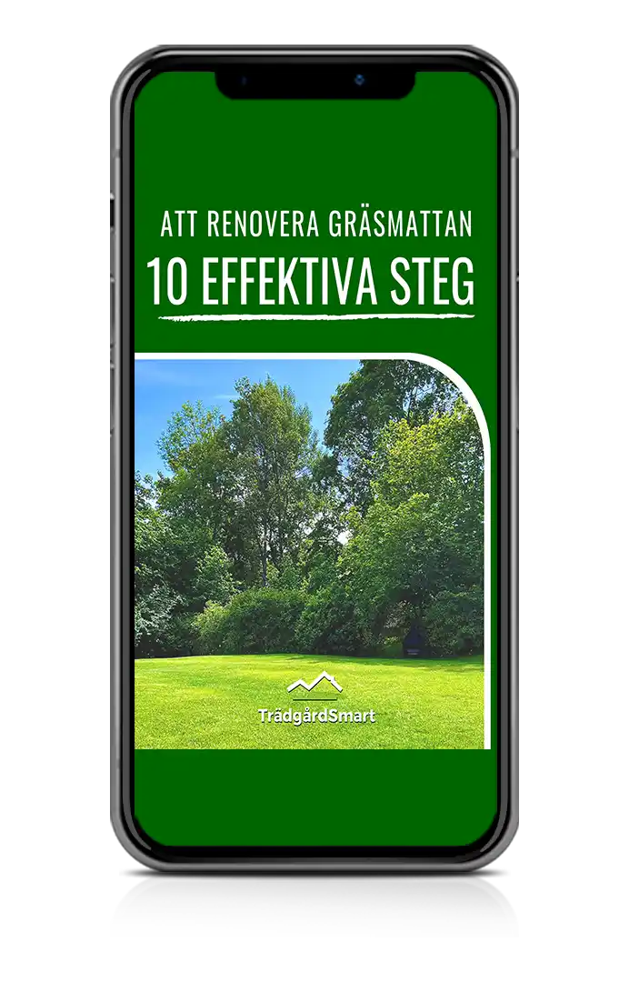 e-Bok: Att renovera en gräsmatta på mobilen