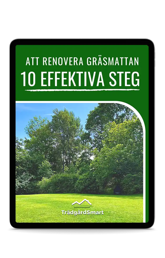 e-Bok: Att renovera en gräsmatta på läsplattan