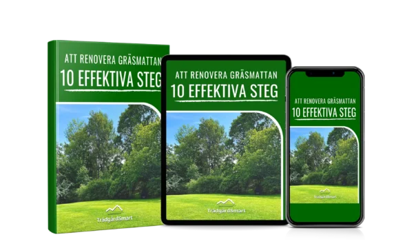 Läs e-boken Att renovera gräsmattan var du vill