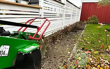 Häckborttagning