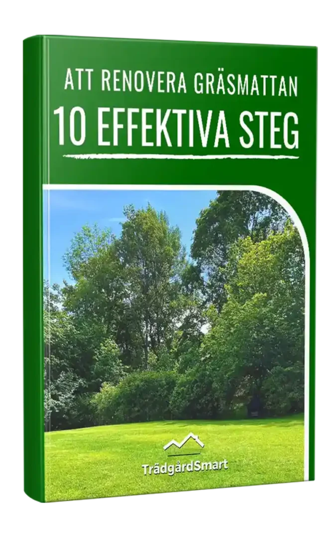 e-bok renovera gräsmattan