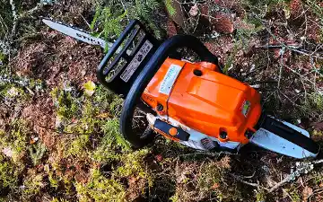 Experttjänster inom trädvård