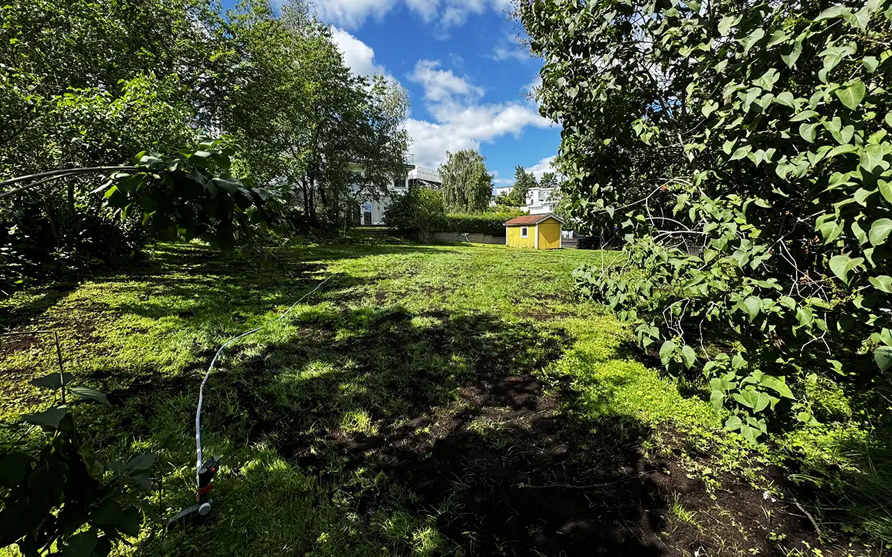Stödsådd av kala fläckar