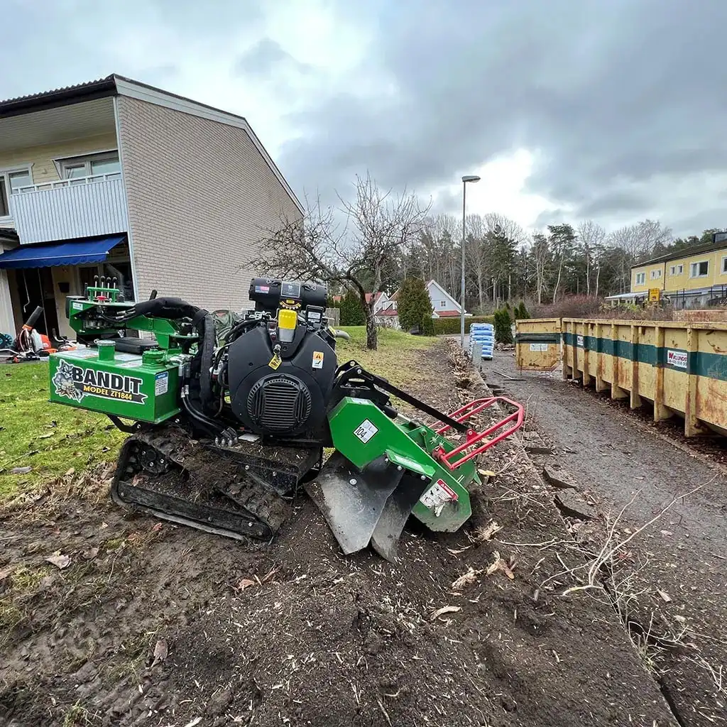 Häckfräsning med stubbfräsning, innan plantering av ny thujahäck