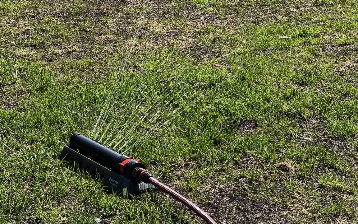 Bevattna gräsmattan under sommartorkan