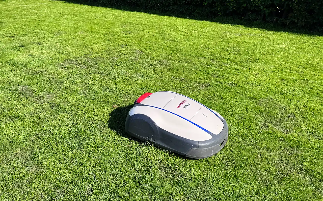 Hälsosam gräsmatta med kontinuerlig gräsklippning.