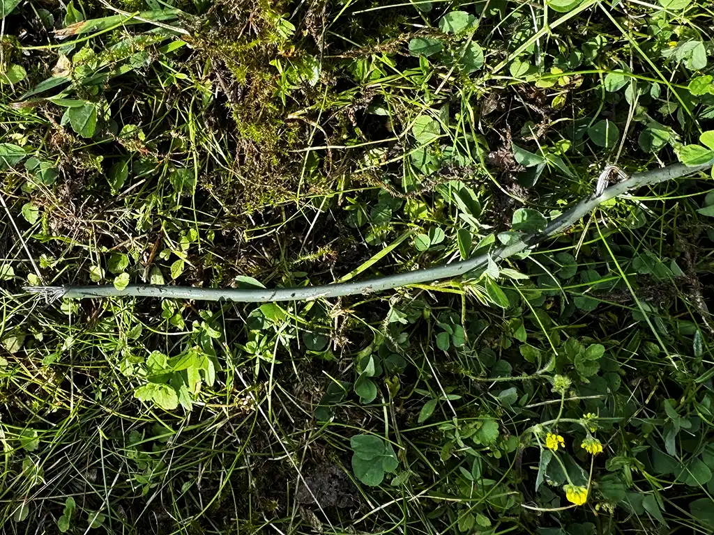 Gammal nött begränsningskabel med kabelbrott som orsakar problem med slingsignal