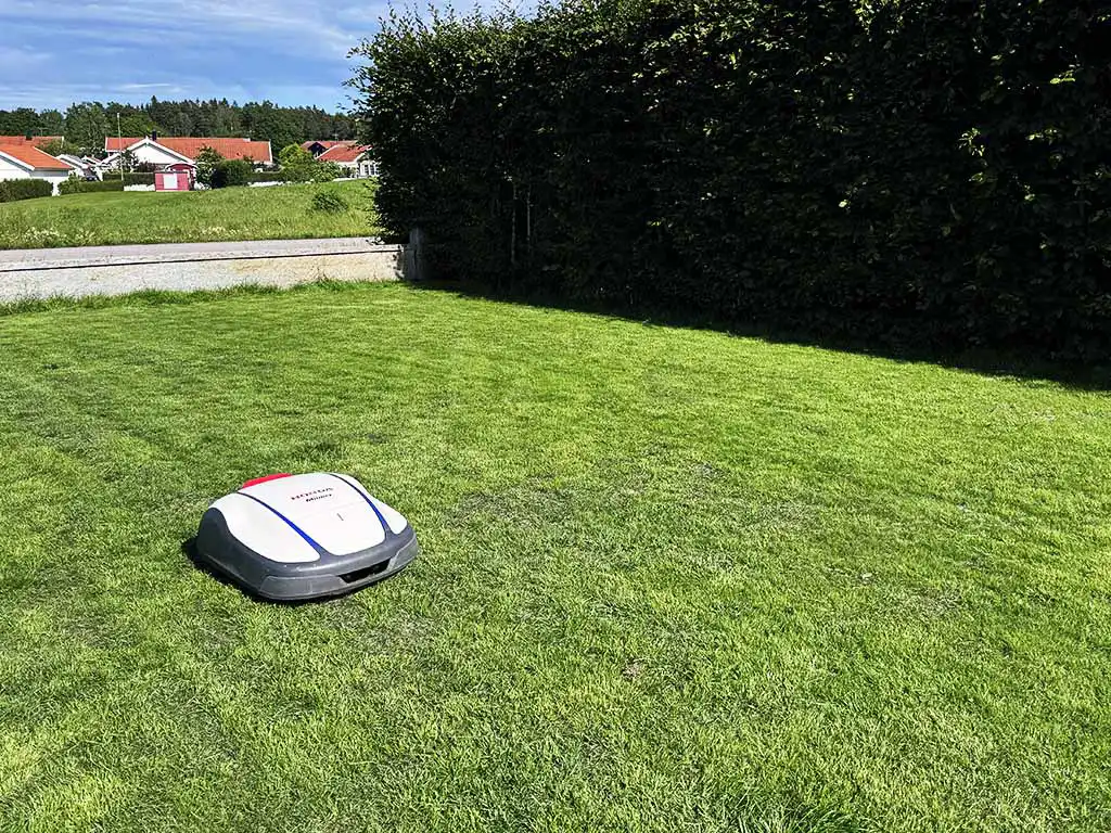 Toppdressad gräsmatta underhålls dagligen av en robotgräsklippare.