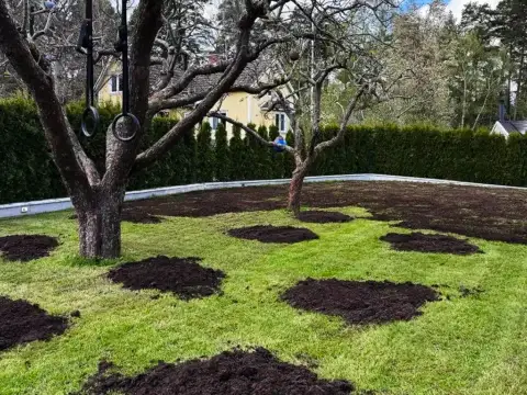 10 vanliga misstag vid toppdressning – och hur du undviker dem