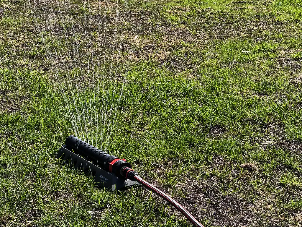 Bevattning av en toppdressad gräsmatta.